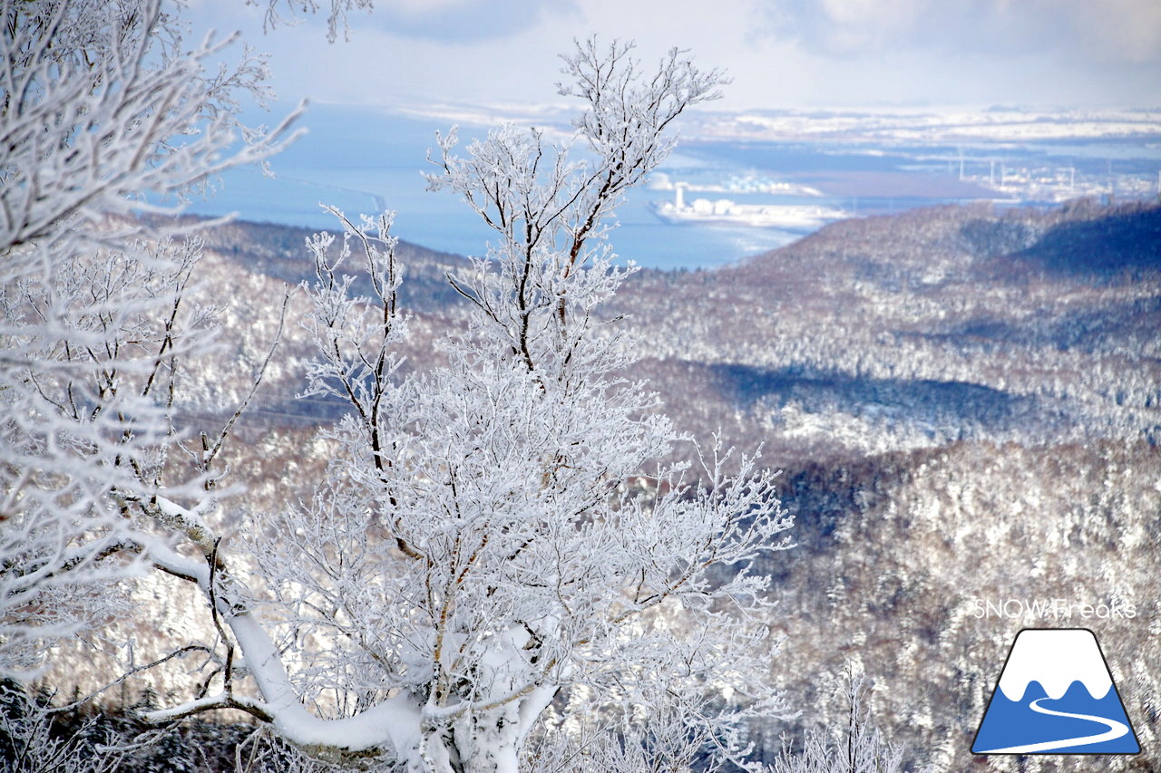 2018-2019 winter ☆パウダースノーで初滑り☆ 北海道札幌市・札幌国際スキー場